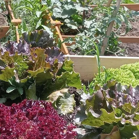 San Lorenzo - Lux Gated Estate/private Pool *