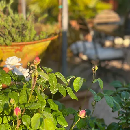 San Lorenzo - Lux Gated Estate/private Pool Villa