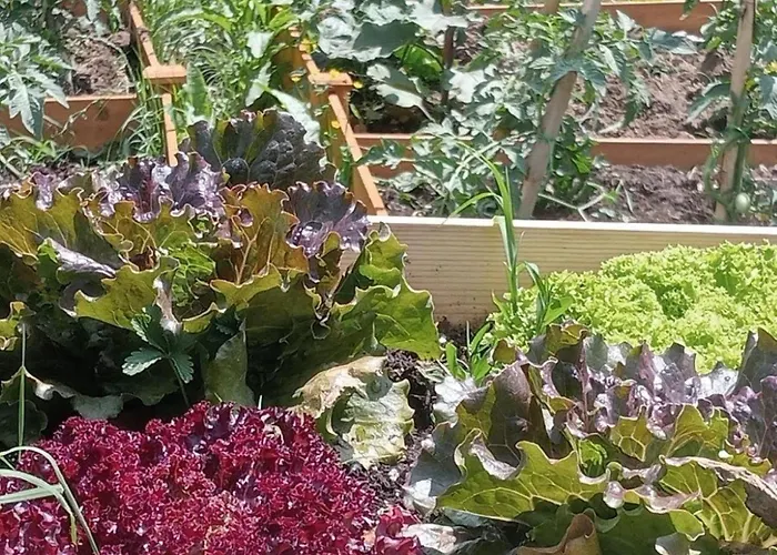 San Lorenzo - Lux Gated Estate/private Pool *