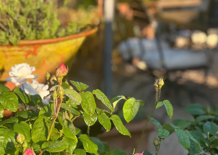 San Lorenzo - Lux Gated Estate/private Pool Villa